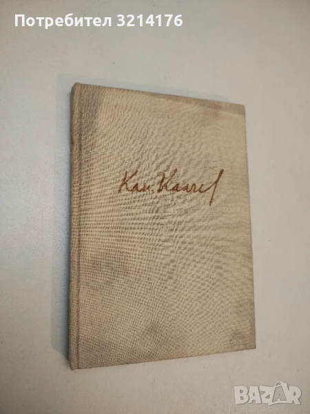 Двама в новия град - Камен Калчев  (1964), снимка 1