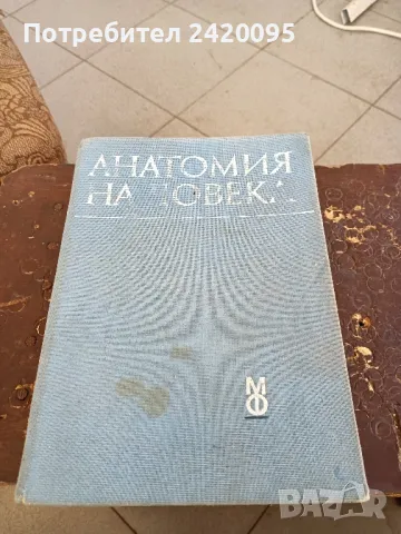 анатомия на човека-20лв, снимка 1 - Специализирана литература - 48903425