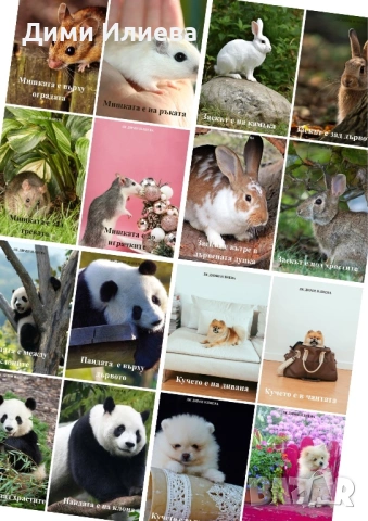 Авторски логопедични карти “ Предлози” , снимка 2 - Карти за игра - 53037805