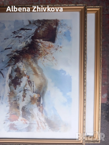 две картини рамкирани под хелеоматично стъкло, снимка 10 - Картини - 52051713