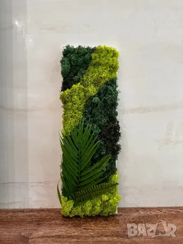 Картина със скандинавски мъх , снимка 2 - Декорация за дома - 49848422