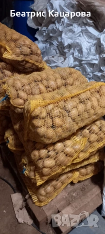 Продавам картофи, снимка 2 - Домашни продукти - 53657000