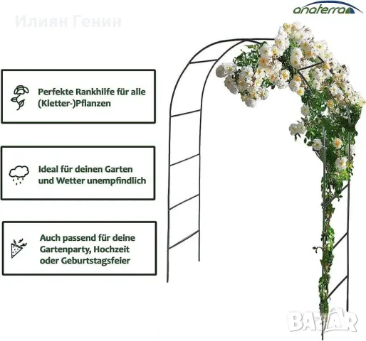 Арка за цветя, снимка 3 - Градински цветя и растения - 47141346