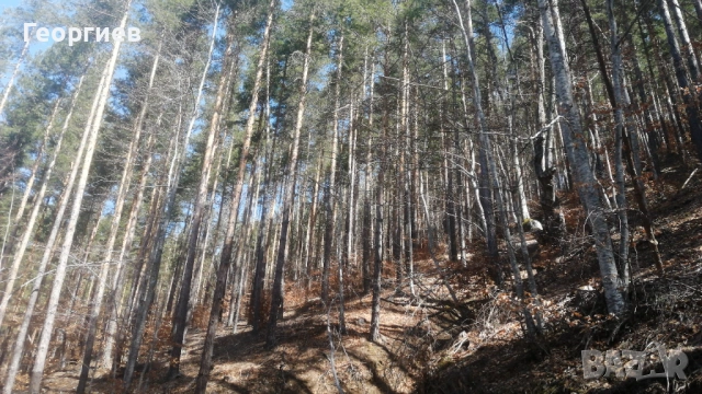 Продавам гора