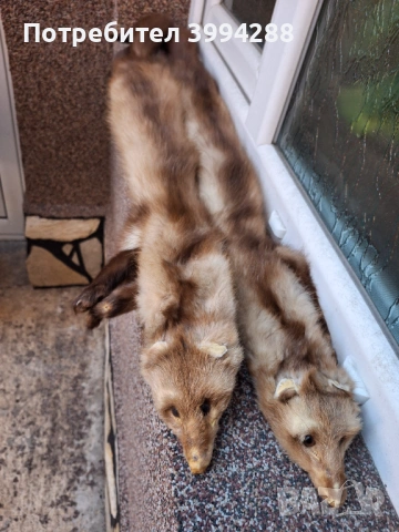 Яка от невестулка, снимка 2 - Шалове - 53665656