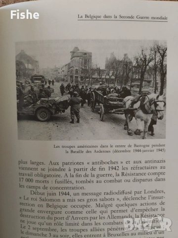 Продавам две интересни книги за Белгия, снимка 6 - Художествена литература - 53980220