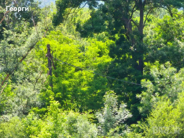 Парцел на река Тунджа , снимка 3 - Парцели - 50522297