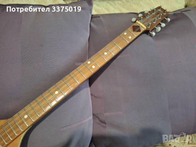 Тамбура (спукана), снимка 2 - Струнни инструменти - 54113292