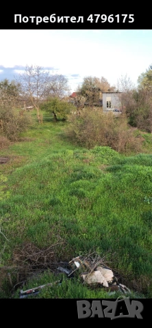 Вила до Борово око, снимка 7 - Вили - 54186488