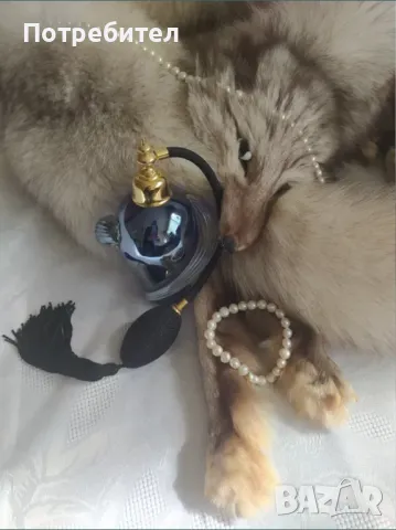 Яка от цяла лисица, снимка 2 - Шалове - 49942193