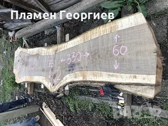 ОРЕХ голями талпи и голями шайби от корена , снимка 2 - Други стоки за дома - 47394048