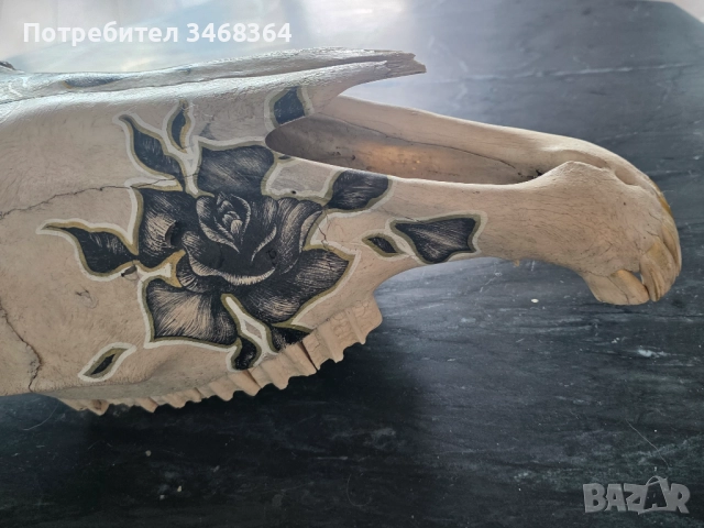 Конски череп за декорация - ръчно рисуван, снимка 6 - Декорация за дома - 51777796