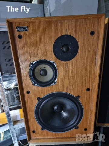 Английски тонколони Celestion Ditton 33, снимка 5 - Тонколони - 53251317