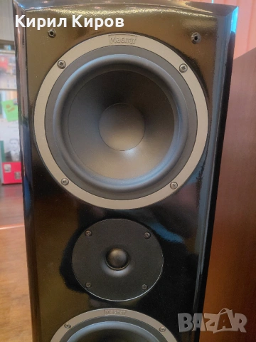 Тонколони Magnat vector 55, снимка 3 - Тонколони - 53172659