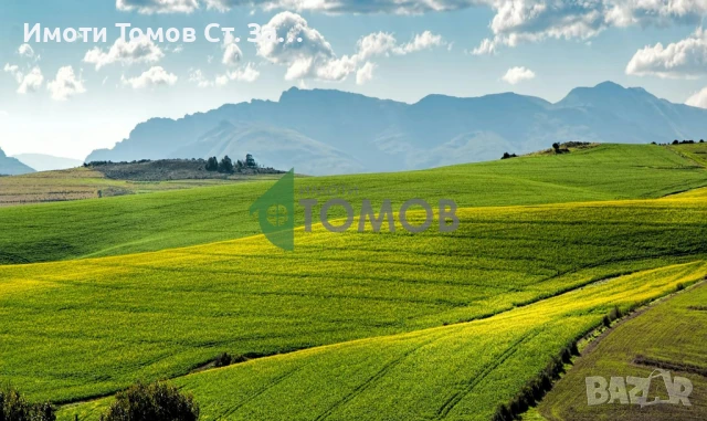 Земеделска земя в местност Слепият кладенец 