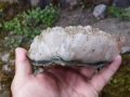 Минерали и кристали , снимка 3