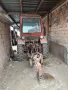 Трактор Владимировец T25 , снимка 2