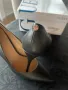 Guess -елегантни,дамски обувки, снимка 4