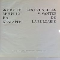 Албум Живите зеници на България  / Lеs prunelles vivantes de la Bulgarie, снимка 3 - Енциклопедии, справочници - 45223420