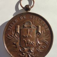Красив медал "Concours Ardenne Agricole 1884 Ville de Stavelot", снимка 1 - Антикварни и старинни предмети - 45573504