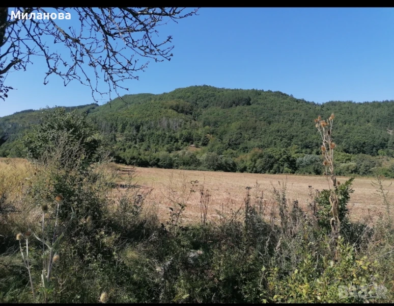 Продавам земеделска земя с.Гюешево., снимка 1