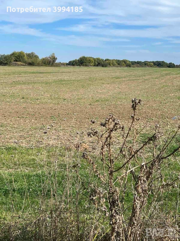 Парцел село Еленино, снимка 1