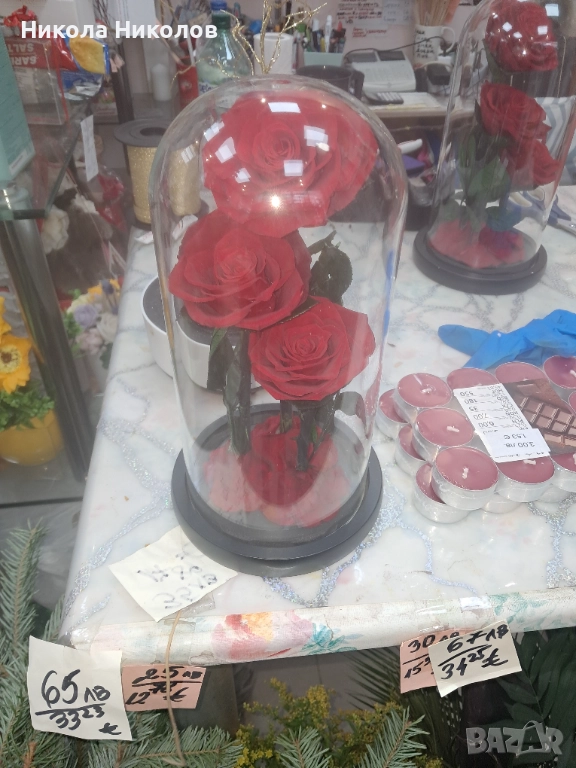 Роза, снимка 1