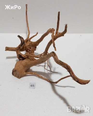 Корен от Азалия /декорация/ 65, снимка 4 - Други - 54102447