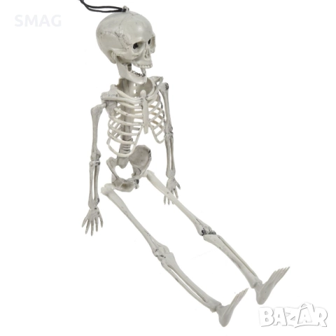 Halloween / Хелоуин реалистичен скелет с подвижна челюст – декорация 40см_1254888, снимка 3 - Декорация за дома - 52008847