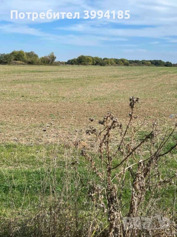 Парцел село Еленино