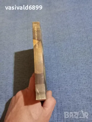 Доминго Сантос - Бъдеще несъвършено , снимка 2 - Художествена литература - 49980009