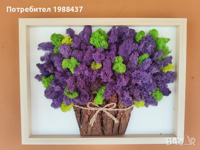 Картини от скандинавски мъх, снимка 4 - Картини - 52662752