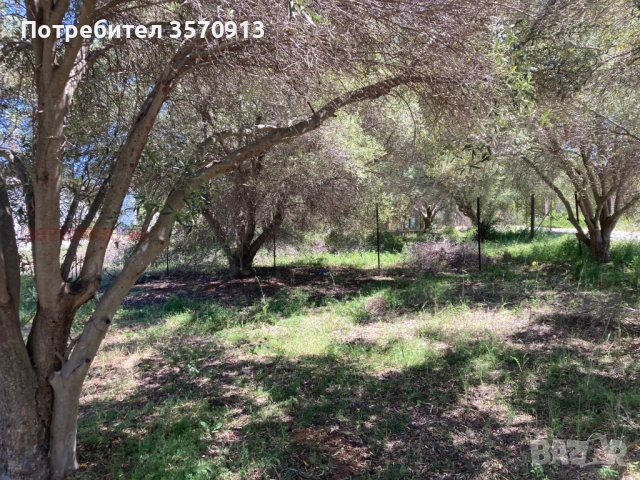 Парцел в Халкидики, снимка 4 - Парцели - 52634297