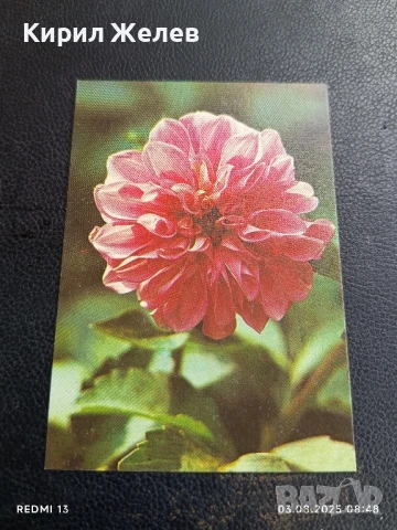 Старо календарче серия ЦВЕТЯ много красиво за КОЛЕКЦИЯ ДЕКОРАЦИЯ 30097