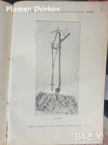 Много стара и истинска библеографска ценост за България и българският етнос, снимка 12 - Антикварни и старинни предмети - 53923832