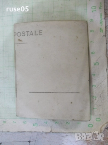 Снимка на трима млади мъже пред храсти стара, снимка 2 - Колекции - 52019947