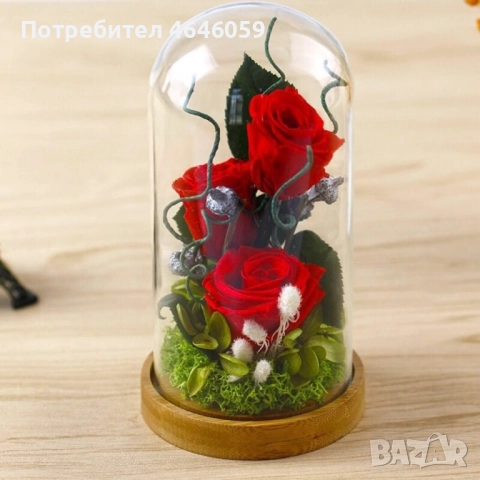 Дълготрайна икебана