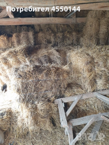 Бали сено , снимка 3 - За селскостопански - 54050912