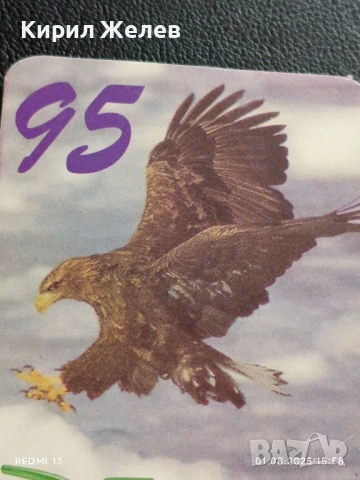 Старо календарче 95г. Застрахователна компания ОРЕЛ 🦅 за КОЛЕКЦИЯ ДЕКОРАЦИЯ 41688, снимка 2 - Колекции - 51218125