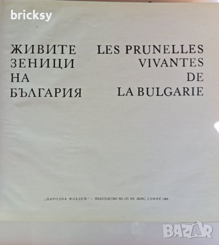 Албум Живите зеници на България  / Lеs prunelles vivantes de la Bulgarie, снимка 3 - Енциклопедии, справочници - 45223420