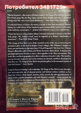 Бандите на Ню Йорк - неофициалната история на подземния свят / The Gangs of New York. An Informal Hi, снимка 6 - Художествена литература - 53748108