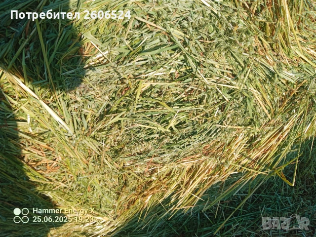 Малки бали сено и люцерна 