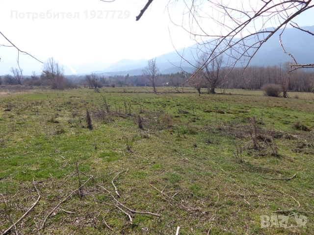 7 дка недвижим имот край град Банско, снимка 5 - Земеделска земя - 22046331