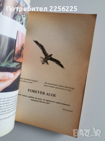 Aloe Vera, снимка 7 - Специализирана литература - 53727217