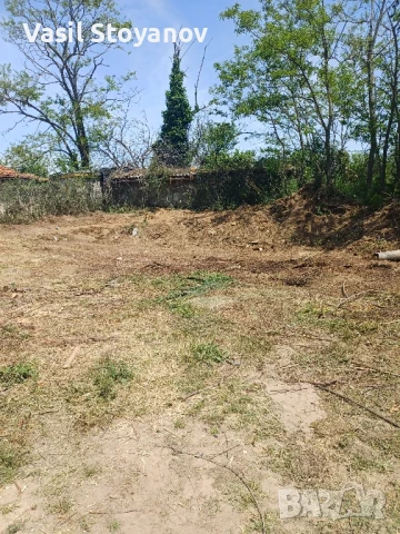 Косене на трева.Почистване на дворни места от храсти , дървета , снимка 14 - Други услуги - 50491395