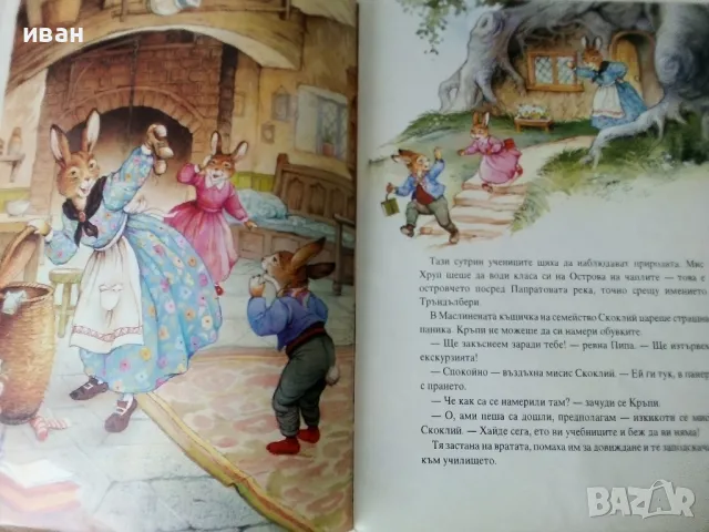 Островът на чаплите - Джон Пейшънс - 1994г., снимка 3 - Детски книжки - 50223915