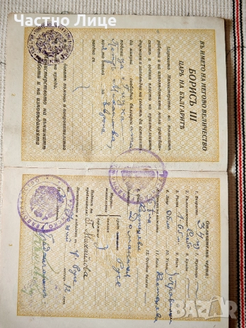 Български Царски Паспорт от 1931 г., снимка 3 - Колекции - 52363696