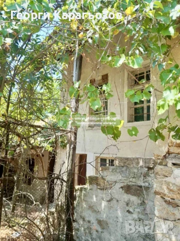 №3983 Селски имот за продажба в село Динево, област Хасково.