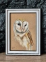 Сова, картина пастел, оригинал, снимка 1