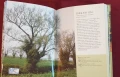 Справочник на дърветата по света / A Concise Guide to Trees, снимка 7